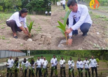 150 Pohon Kelapa Hasil Sumbangan Pegawai Lapas Namlea, Untuk Gerakan Nasional Ketahanan Pangan