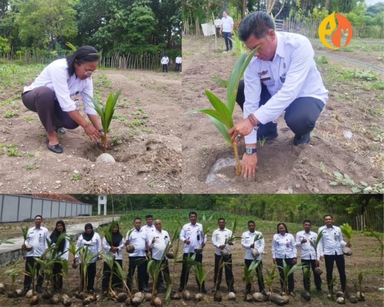 150 Pohon Kelapa Hasil Sumbangan Pegawai Lapas Namlea, Untuk Gerakan Nasional Ketahanan Pangan