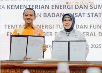 ESDM dan BPS Perkuat Kolaborasi untuk Wujudkan Satu Data Nasional Bidang Energi