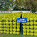 ESDM Tambah 16 Ribu Tabung LPG Subsidi untuk Warga Terdampak Bencana di Aceh