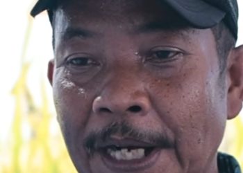 Sukses Panen Padi 8 Ton per Hektare, Petani Cianjur Raih Satyalancana Wira Karya dari Prabowo