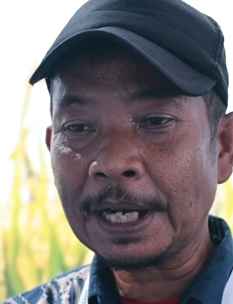 Sukses Panen Padi 8 Ton per Hektare, Petani Cianjur Raih Satyalancana Wira Karya dari Prabowo