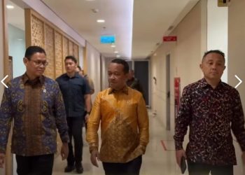Kapasitas Listrik Nasional Naik 7 GW, Pemerintah Dorong Investasi dan Industri