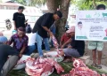 Di Bawah Binaan Hambra Samal, Yayasan Indah Konsisten Salurkan Qurban untuk Masyarakat Timur Indonesia
