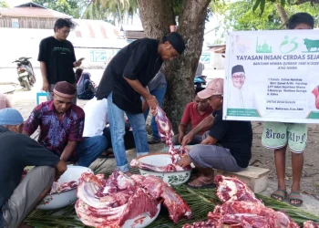 Di Bawah Binaan Hambra Samal, Yayasan Indah Konsisten Salurkan Qurban untuk Masyarakat Timur Indonesia