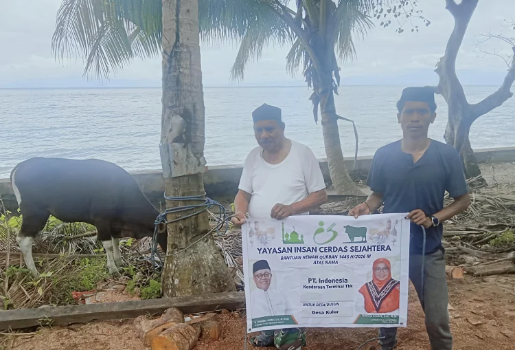 Maluku Jadi Episentrum Gerakan Qurban Nasional, Yayasan Indah Salurkan 75 Ekor Sapi hingga Pelosok Indonesia Timur