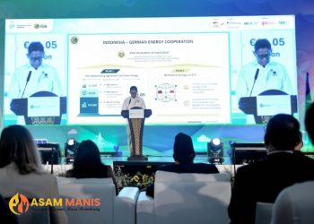 Indonesia Percepat Transisi Energi, EBT dan B-50 Diperkuat Lewat Kemitraan dengan Jerman