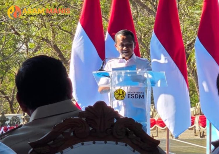 Program PLTS 100 GWp Dimulai, Pemerintah Kejar Target Energi Surya 100 GW dalam Tiga Tahun