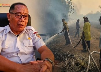Titik Api Meluas di Maluku Tengah, BPBD Kaji Status Darurat Kebakaran
