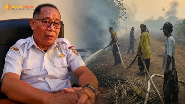 Titik Api Meluas di Maluku Tengah, BPBD Kaji Status Darurat Kebakaran