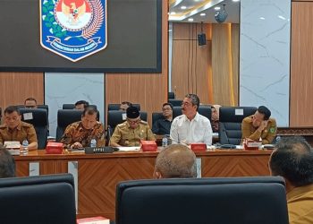 Maluku Siap Bentuk Lima BUMD Baru